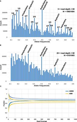 To be or not to be tetraploid—the impact of marker ploidy on genomic prediction and GWAS of potato